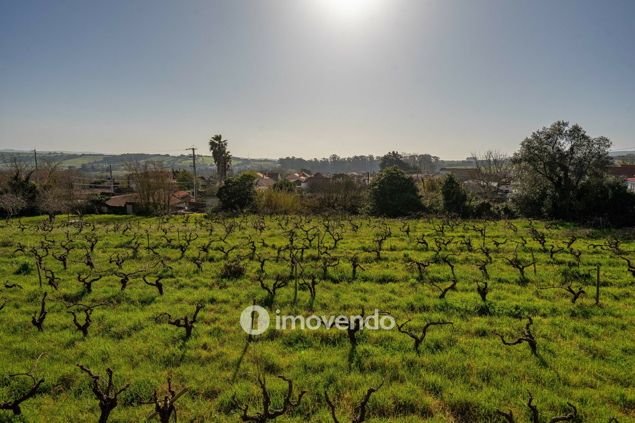 Moradia T3+1 com terreno com jardim, piscina e garagem, em Alenquer